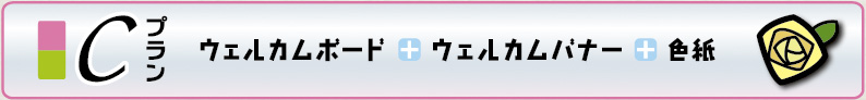 トイポンウェディング似ぐるみプランC